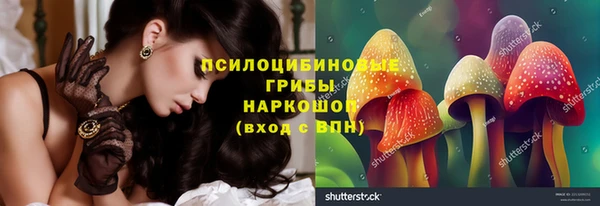 дурь Краснослободск