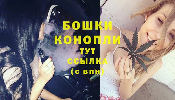 Альфа ПВП Костерёво