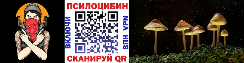 где найти   Кудымкар  Галлюциногенные грибы GOLDEN TEACHER 
